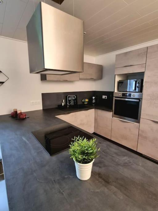 Appartement Chaleureux 80M2 Orbey Dış mekan fotoğraf